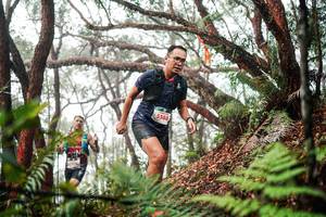 BIB: 
                            <button type="button" onclick="openModal(26299309)" class="btn btn-primary btn-sm float-right btn-popup" data-toggle="modal" data-target=".modal-high-quality">
                        <i class="fas fa-shopping-cart"></i> Add to Cart
                    </button>
                                            <button type="button" onclick="isThisMe(26299309, true)" class="btn btn-success btn-sm float-right btn-popup btn-isme hidden" data-toggle="tooltip" data-placement="bottom" title="นี่คือรูปของคุณใช่ไหม คลิกที่นี่เพื่อเอาเข้าอัลบั้ม">
                        <i class="fas fa-plus"></i> Add to album
                    </button>
                    <button type="button" onclick="isThisMe(26299309, false)" class="btn btn-warning btn-sm float-right btn-popup btn-isnotme hidden">
                        <i class="fas fa-ban"></i> Remove from album
                    </button>